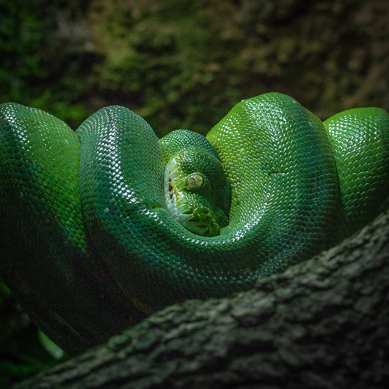 animals-2-von-16.jpg